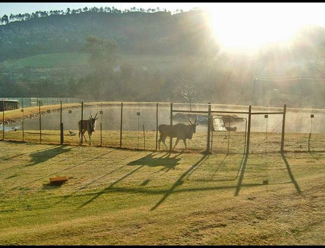 FARM FOR SALE IN GEORGE RURAL